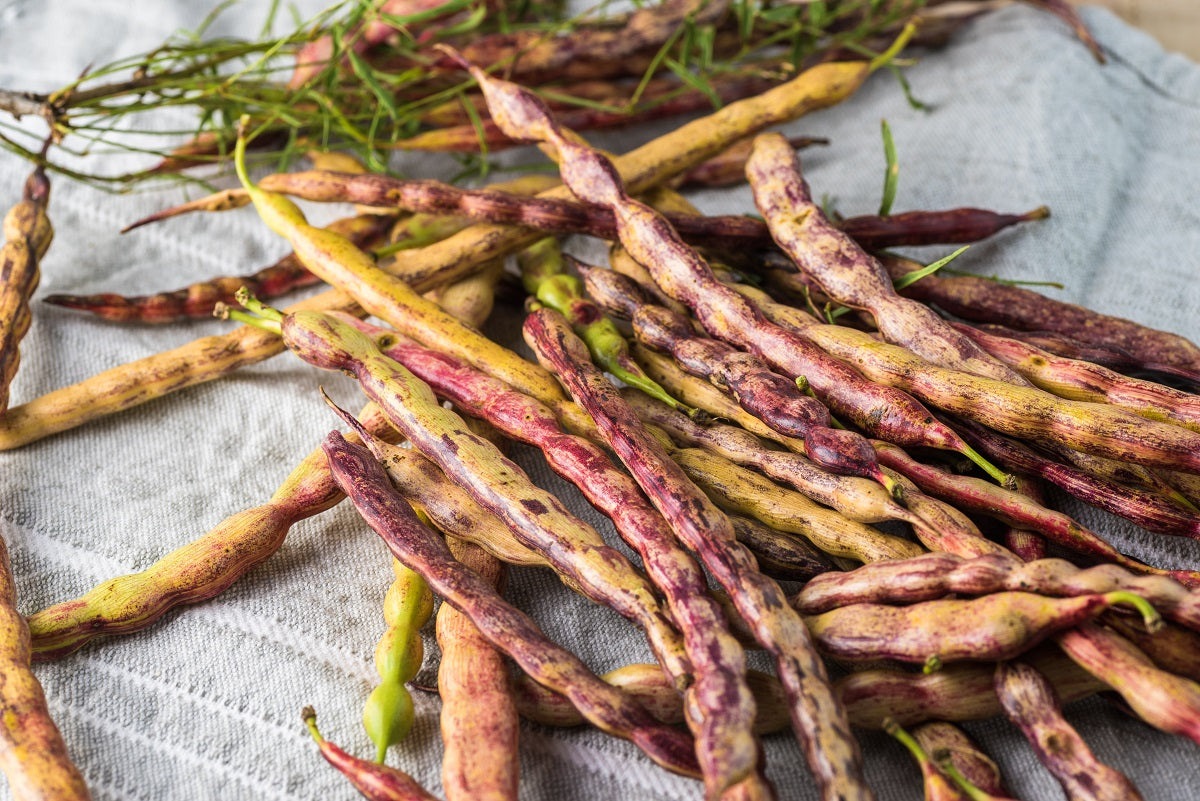 Is Mesquite Bean Flour Paleo?