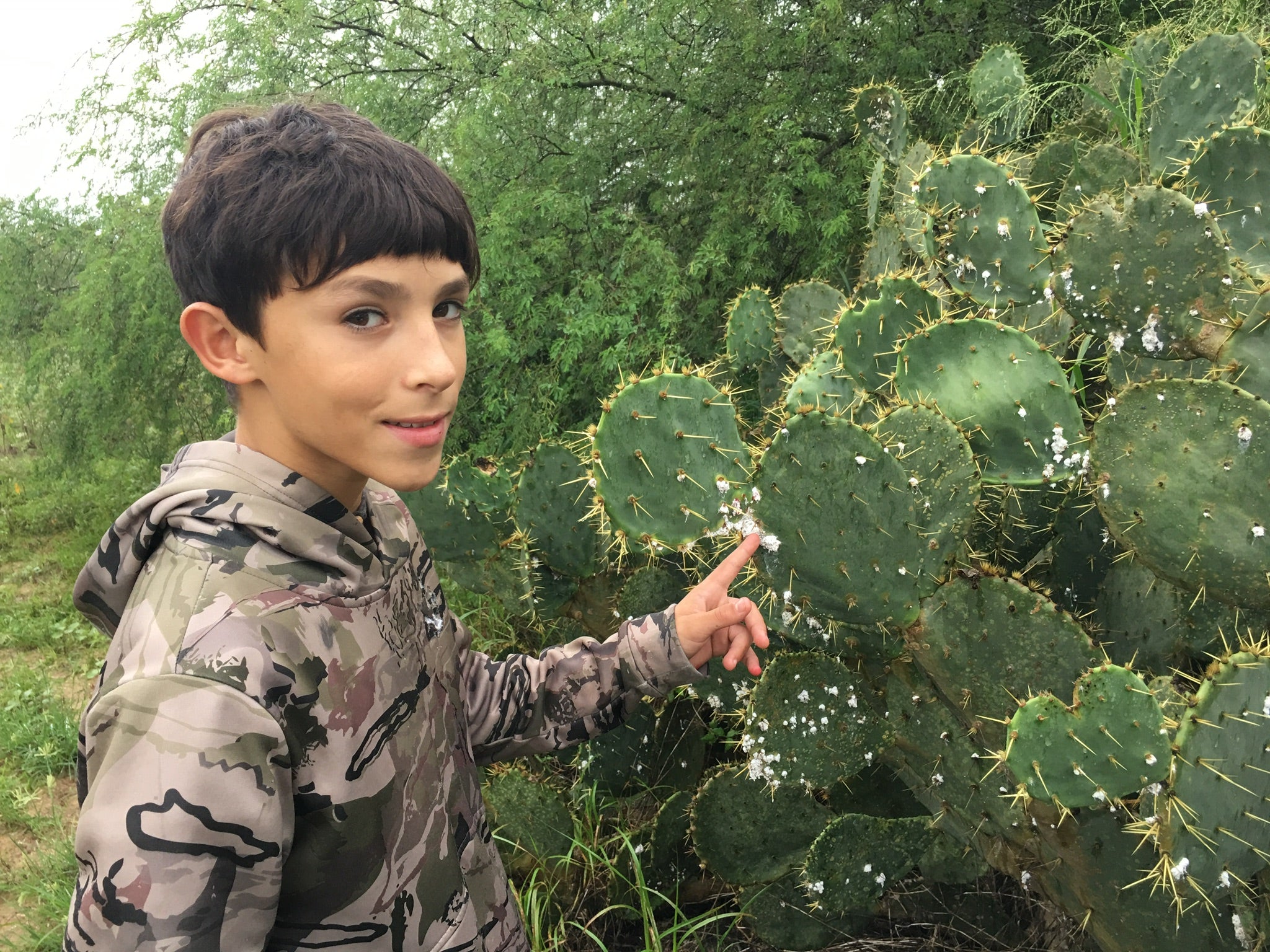 Seeing Red: The Little Buggers Known as Cochineal