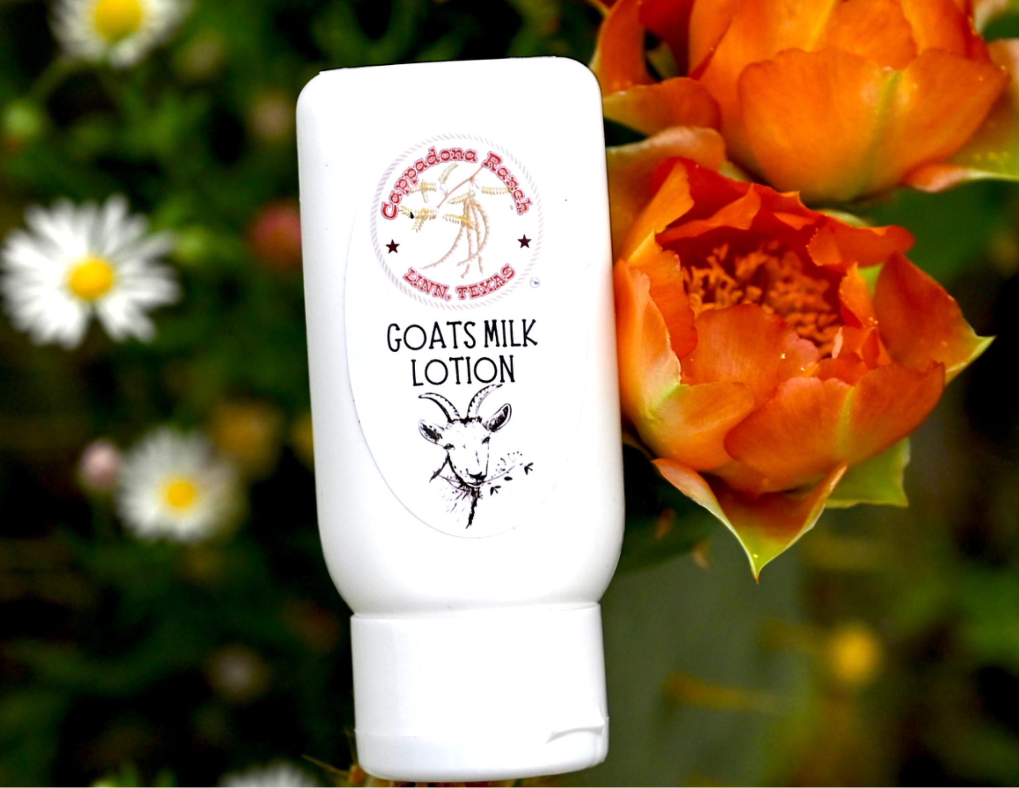 Goats Milk Lotion