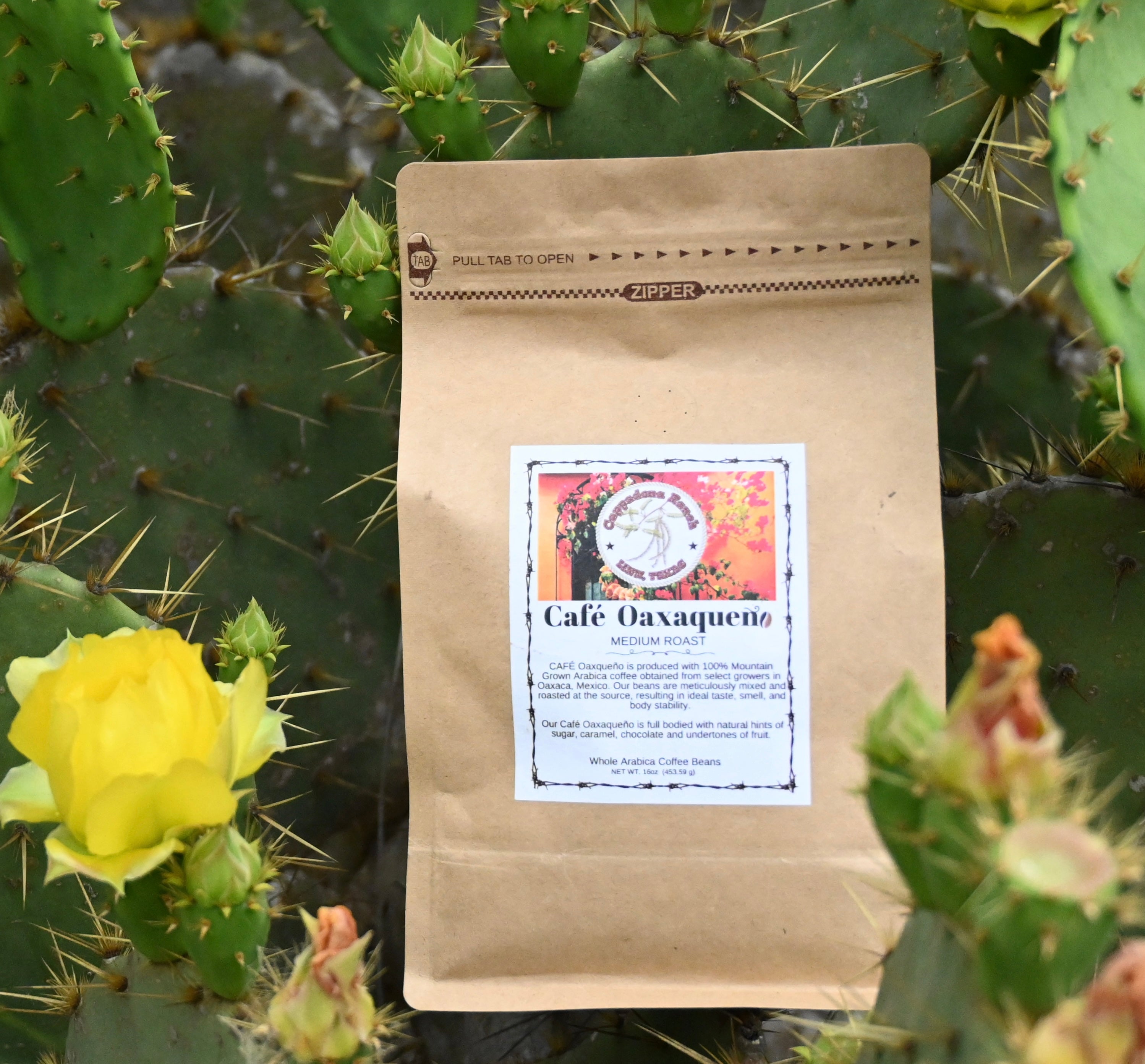 Café Oaxaqueño