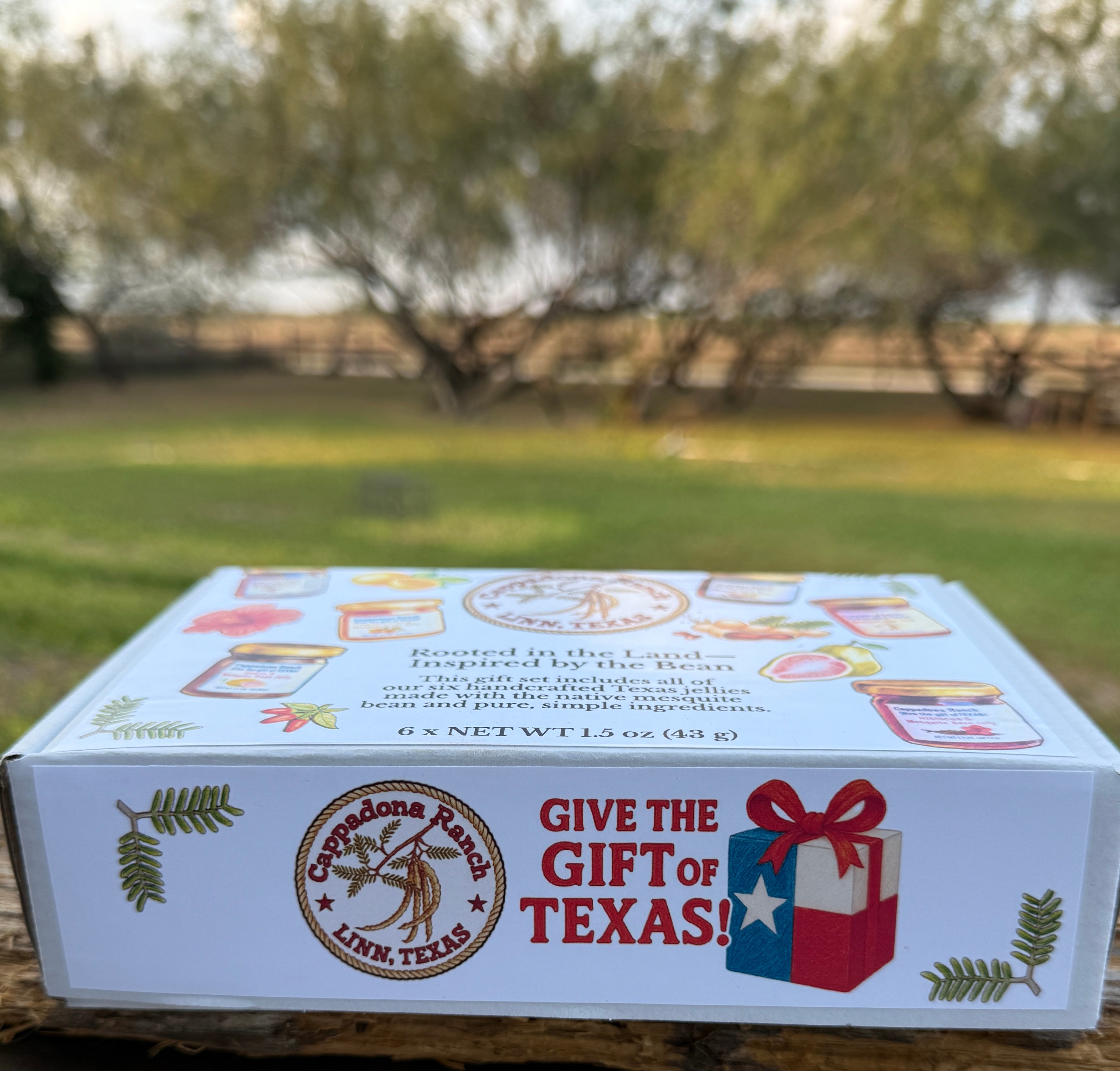 Cappadona Ranch Mesquite Jelly Gift Set – 6 Mini Jars