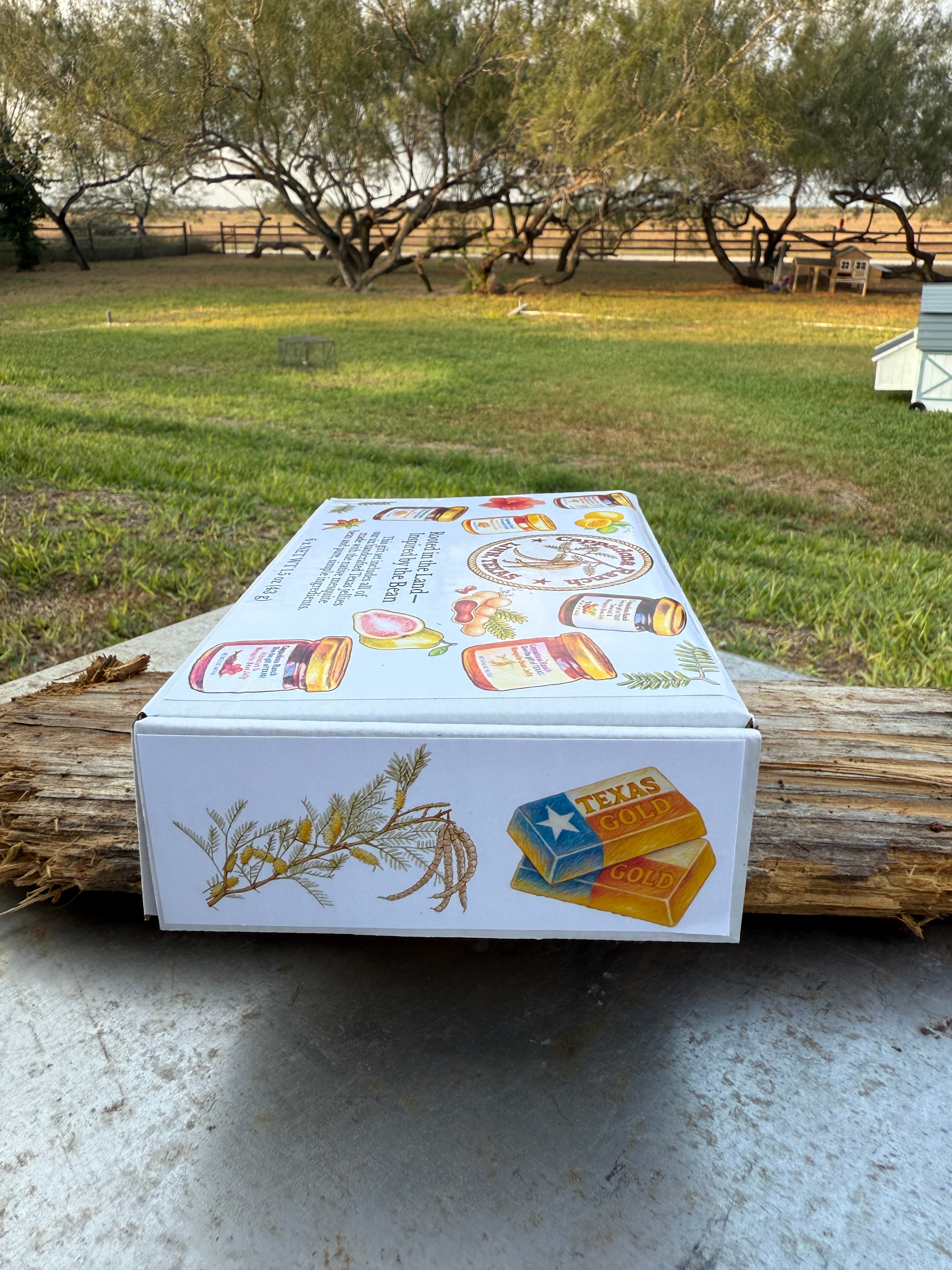 Cappadona Ranch Mesquite Jelly Gift Set – 6 Mini Jars