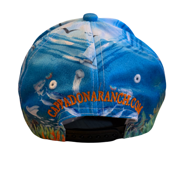 "Gulf Reflections"-Cap