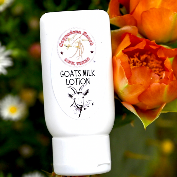 Goats Milk Lotion