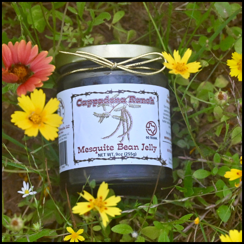 Cappadona Ranch Sweet and Smoky Mesquite Bean Jelly in a glass jar with South Texas wildflowers