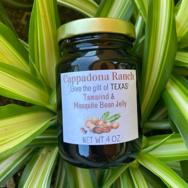 Tamarind & Mesquite Bean Jelly in glass jar with Texas-grown ingredients, Cappadona Ranch