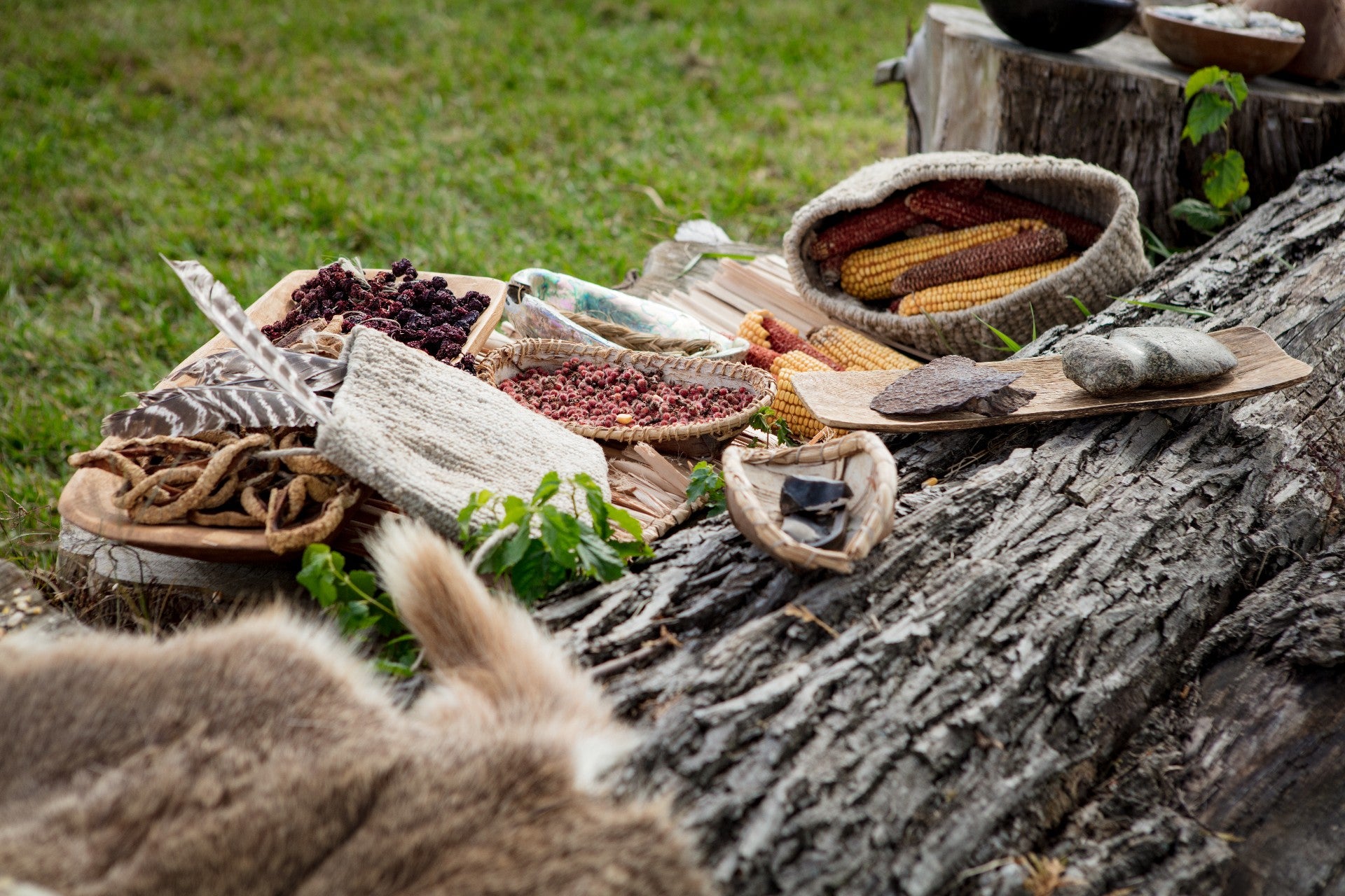 Forgotten in Time: The Native American Diet and How It Has Returned to Heal the First People