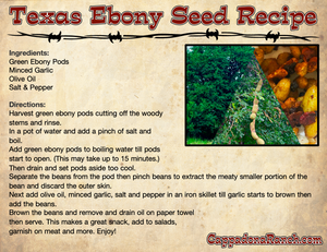 Texas Ebony Seed Recipe