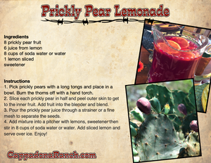 Prickly Pear Lemonade Recipe