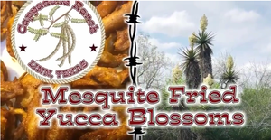 Mesquite Fried Yucca Blossom