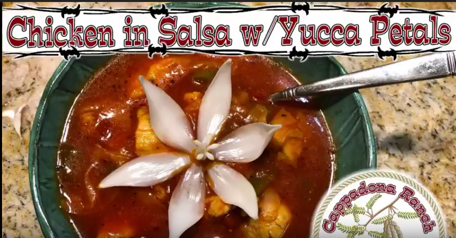 Chicken in Salsa with Yucca Petals