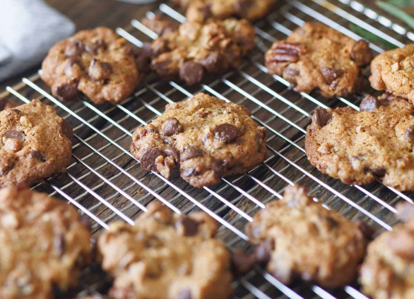 TEXAS MESQUITE CHOCOLATE CHIP COOKIES ARE THE BEST GIFT