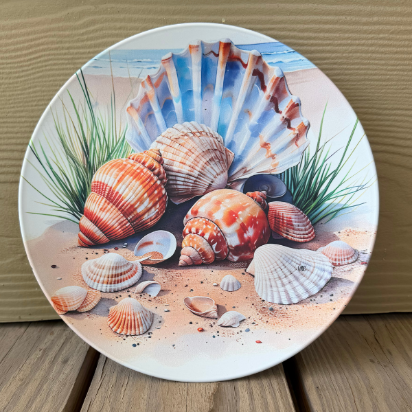 Scallop Shell Dinner Plate – Gulf Coast Collection