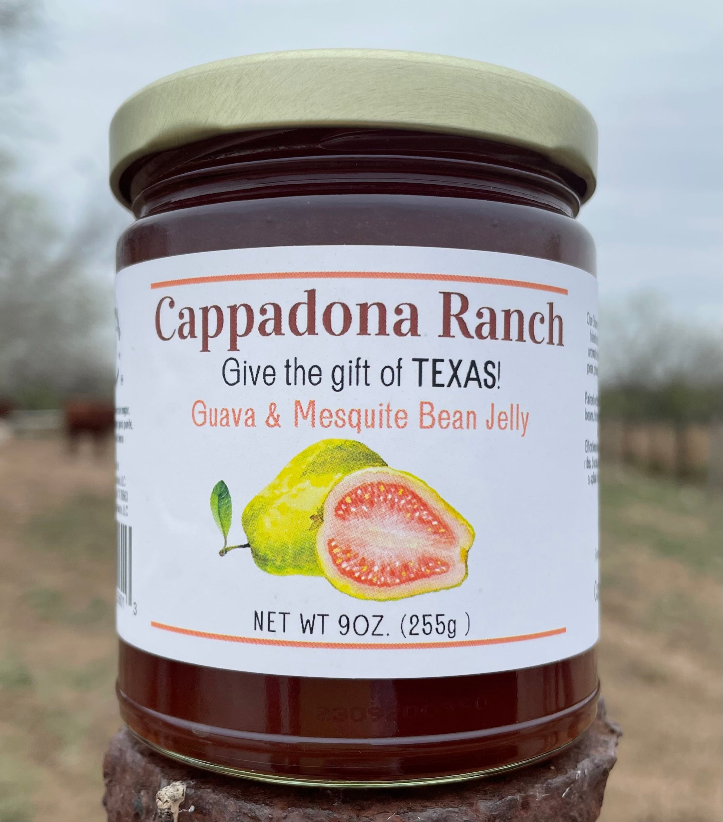 Guava & Mesquite Bean Jelly – Tropical, Smooth & Rich Texas Fruit Jelly