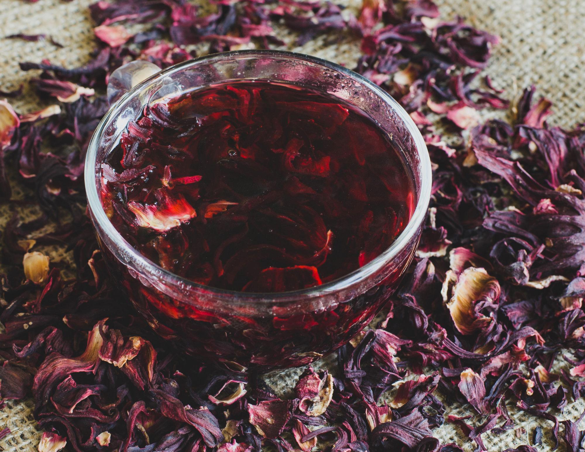 Hibiscus & Mesquite Bean Jelly – Floral, Tart & Naturally Sweet Texas Jelly