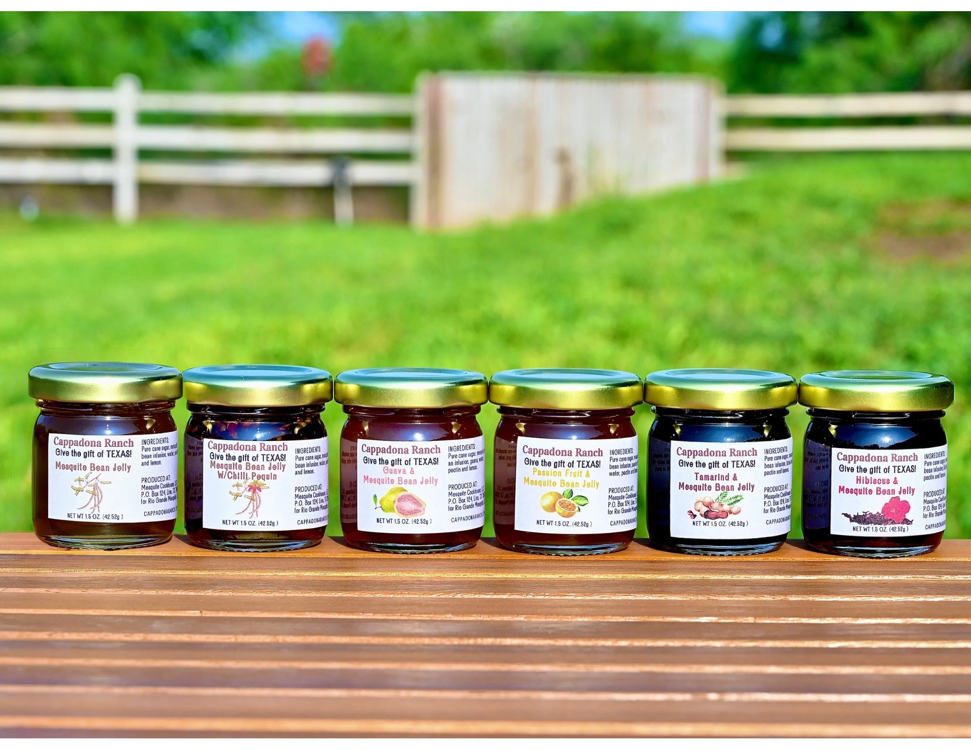The Flavors of Cappadona (6 different flavors of Mesquite Bean Jelly 1.5oz each)