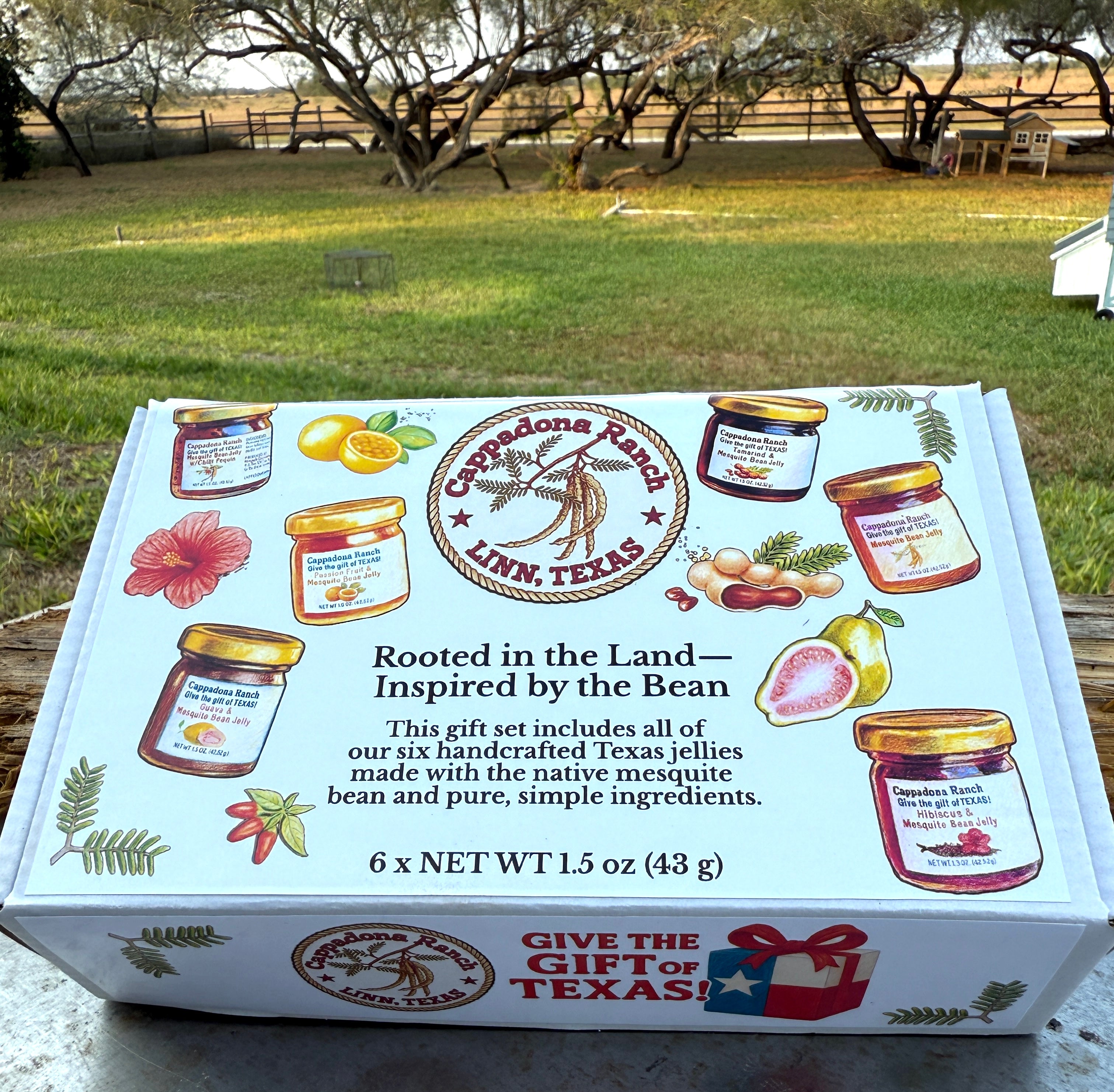 Mesquite Jelly Gift Set – 6 Mini Jars | Cappadona Ranch Texas Gifts