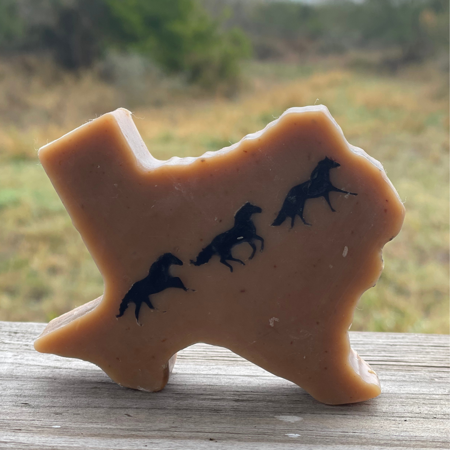 Horses on Cappadona Pastures