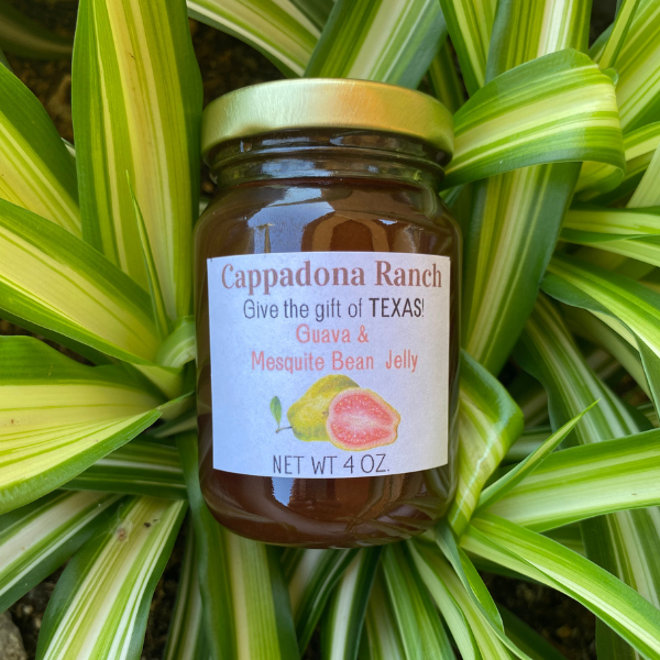 Guava & Mesquite Bean Jelly – Small Batch Texas Gift (4oz)