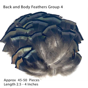 Texas Turkey Feathers (Sorry, but this item is currently sold out)