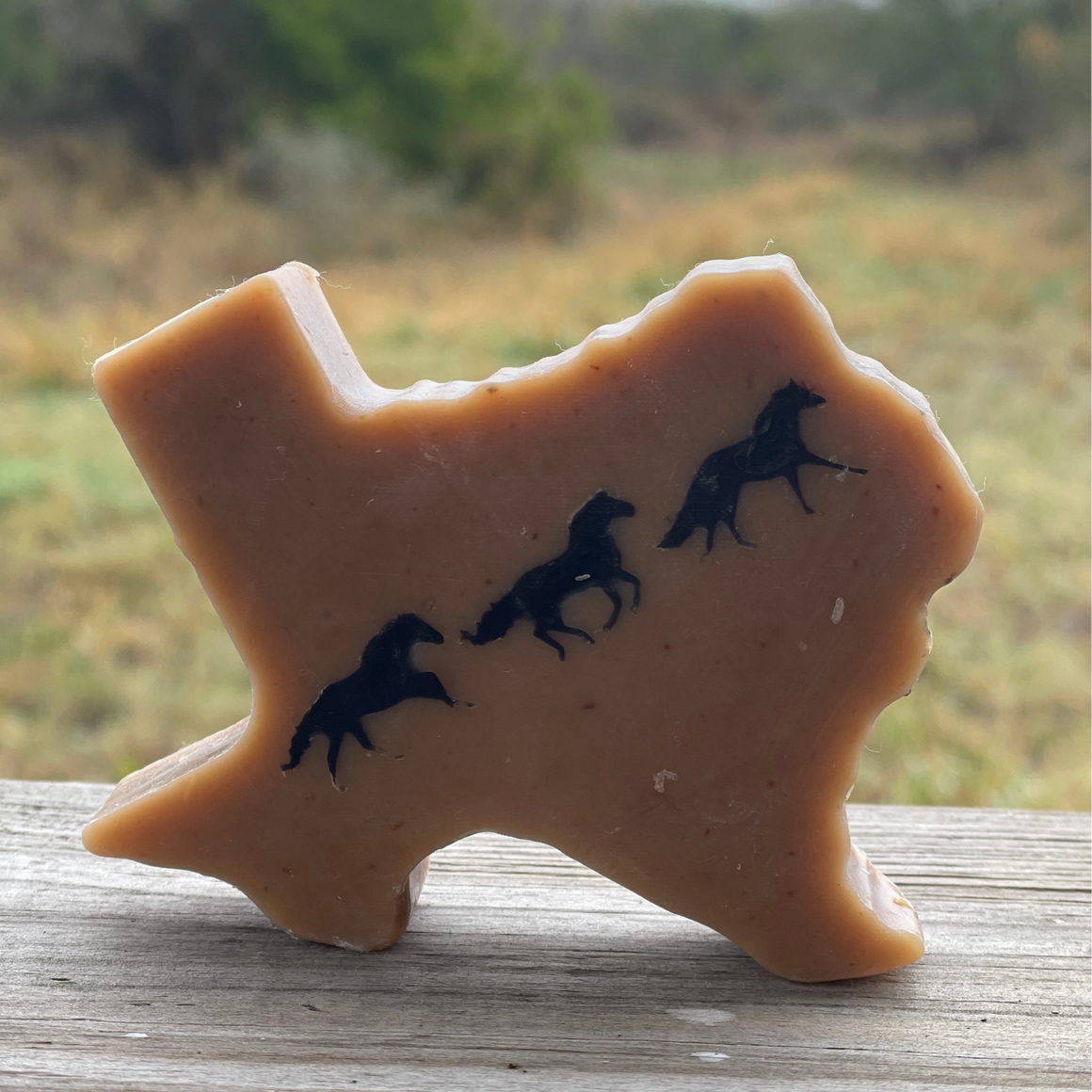 Texas Mesquite Bean Horse Soap